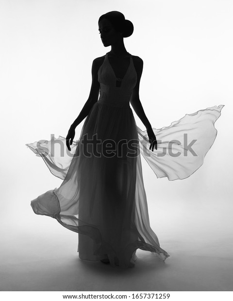 Art Fashion Studio Photo Beautiful Elegant Foto Stock Shutterstock