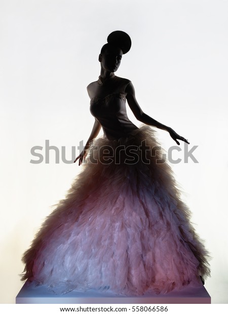 Art Fashion Studio Photo Beautiful Elegant Stock Photo 558066586