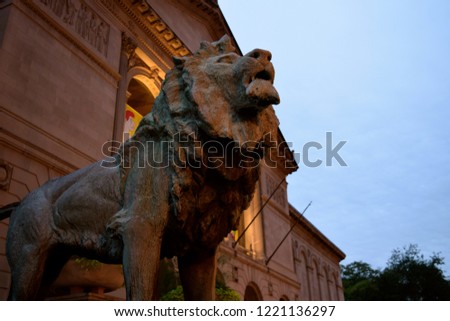 Art Institute of Chicago Lion - Located downtown,one of two lions at the entrance of the museum dating back to 1893 making it the one of the oldest and largest museums in the USA.