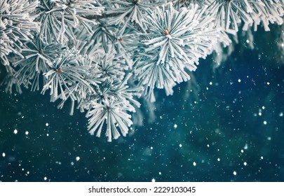 Art Nature Winter Christmas Background with snowy pine tree. Beautiful Border of Pine tree branches in hoarfrost on dark green Background. Scenic natural Winter Wallpaper, web banner. - Powered by Shutterstock