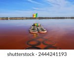 Art on Lake Retba, Lac rose close Dakar, Senegal, West Africa