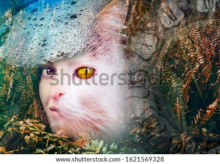 Art portrait of a female cat