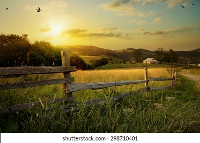 art rural landscape. field and grass  - Shutterstock ID 298710401