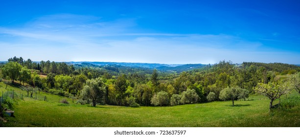 Art Rural Landscape. Field And Grass. Summer Time In Country Side