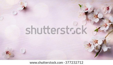 art Spring Blooming; spring flowers on wooden background