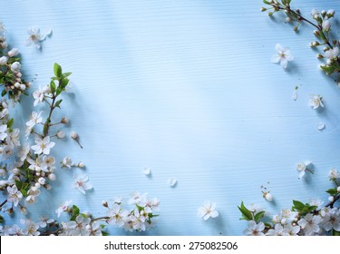 art Spring floral border background with white  blossom
