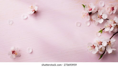 art  spring flowers frame  background - Shutterstock ID 273693959