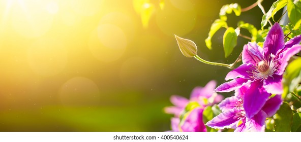 June Background Images, Stock Photos & Vectors | Shutterstock