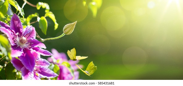 art Spring or summer flower background; Easter landscape