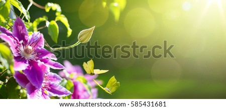 art Spring or summer flower background; Easter landscape