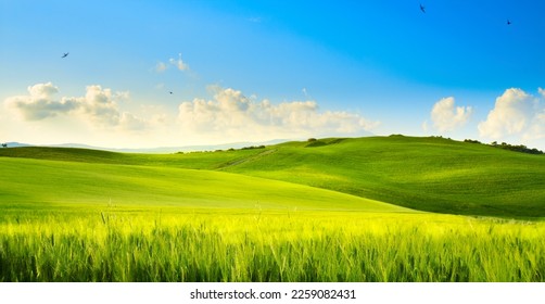 art springtime rural landscape. Spring green field and blue sky panorama
 - Powered by Shutterstock