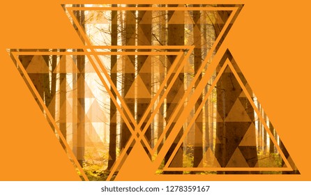 Art with triangles