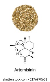 Artemisia Annua Herb Circle, And The Chemical Formula Of Artemisinin. Dried Sweet Wormwood, And Chemical Structure Of The Plant Extract, A Medication To Treat Malaria, Also Used In TCM To Treat Fever.