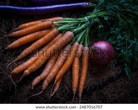 An artful composition of different kinds of vegetables in vivid color, a bundle of wild carrots and a red onion