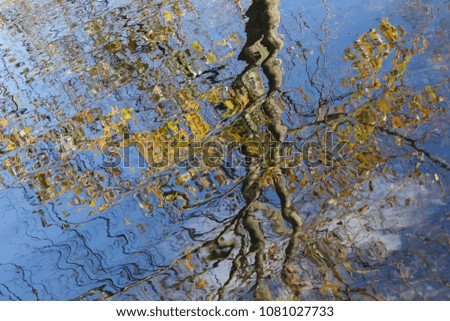 Similar – Foto Bild Frühling in der Pfütze