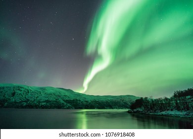 The Artic And The Nothern Lights