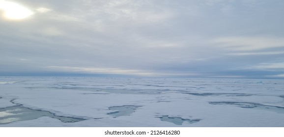 Artic Ocean In Summer On The Way To The North Pole.