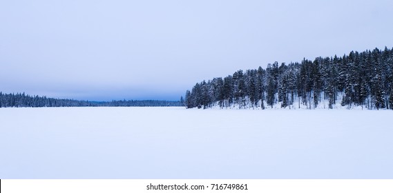 Artic Winter In The Snow Of Lapland