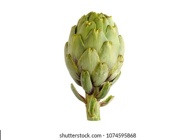 Artichoke Isolated On White Background