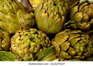 Artichokes Typical Vegetable Of The Mediterranean Basin