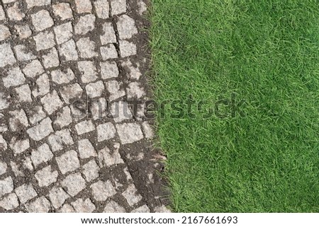 Artifical green grass and stone tile pavement texture background. Fake, not real, evergreen, beautiful turf lawn in city park. Backyard and garden landscape design. Close up, copy space
