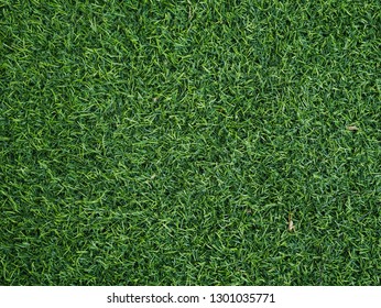 Artifical Turf Texture Background.