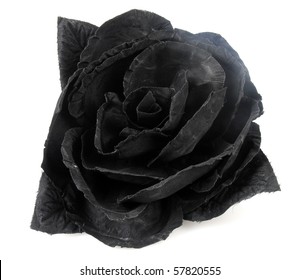 108,570 Black roses isolated Stock Photos, Images & Photography ...