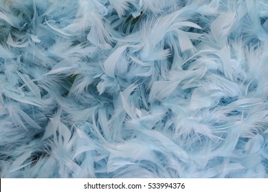 Artificial Blue Feathers