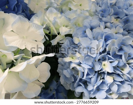 Artificial blue hydrangeas give off a refreshing and lovely image.