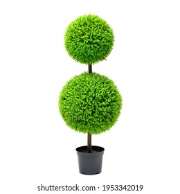 Artificial boxwood ball topiary bush tree like real as modern evergreen ecological decoration for interiors of house, malls, restaurants. isolated on white background for design collage