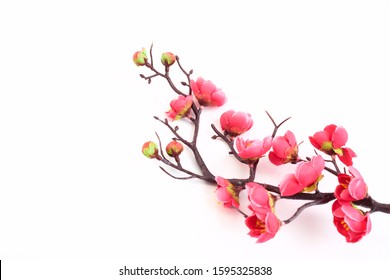 Artificial branch of blossoming cherry with bright pink flowers, isolated on white background, copy space for text