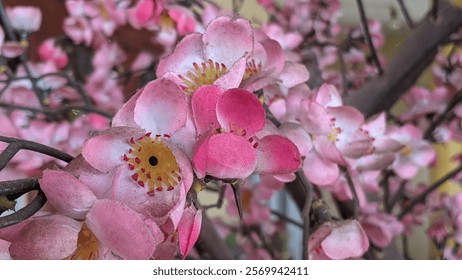 Artificial cherry blossom tree. This artificial cherry blossom tree looks so beautiful with its attractive colors. 