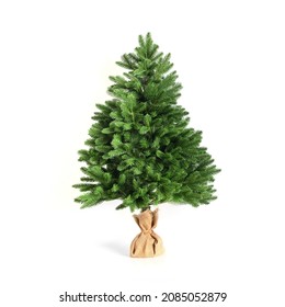 Artificial Christmas tree without decor on stand wrapped in burlap isolated on white background. Xmas holiday. Reusable cast Christmas tree.