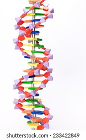 Artificial DNA Model Isolated On White Background