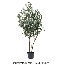 Artificial Eucaliptus Tree Like Real Modern Stock Photo 1751788379 ...