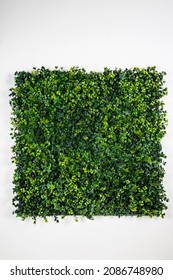 Artificial fake plant bush wall for interior and exterior decoration. - Shutterstock ID 2086748980