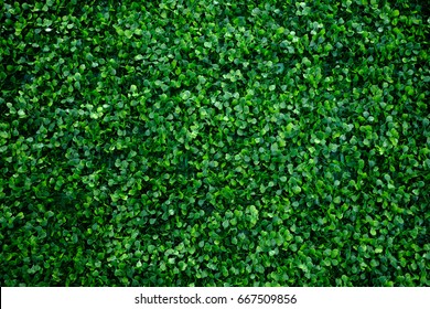 Artificial Fake Plant Bush Wall For Interior And Exterior Decoration.