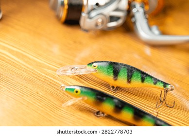 Artificial fish baits designed for catching predatory fish species