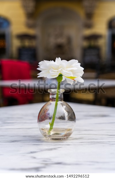 Artificial Flower Small Glass Vase Stands Stock Photo Edit Now