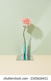 Artificial Flower In A Test Tube On A Mirror Surface. Pastel Two Tone Virtual Love Minimal Background.