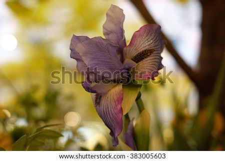 Artificial flowers made eidetic.Artificial flowers used to decorate the rest of the building,making the area beautiful.