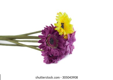 Artificial Flowers On White Background