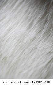 Fur Images, Stock Photos & Vectors | Shutterstock