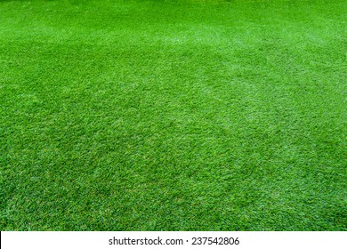 Artificial Grass