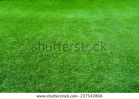 Artificial Grass