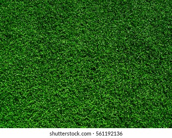 Synthetic Turf Artificial Grass Background PPT template 36 ...