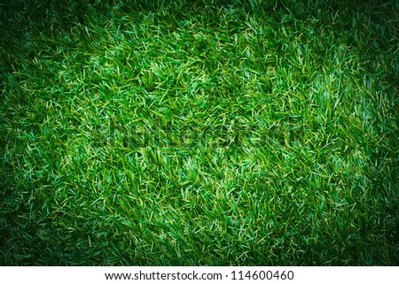 Artificial grass background