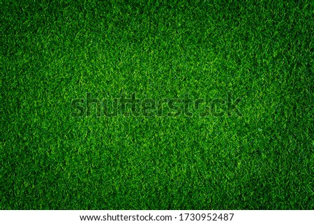 Artificial grass background, Artificial grass texture,