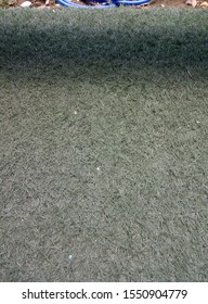 Artificial Grass In The Park