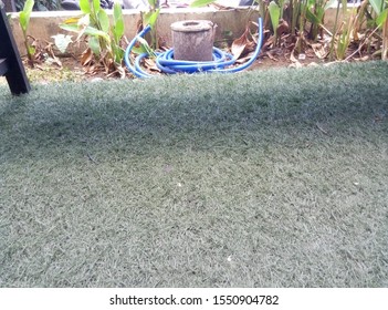 Artificial Grass In The Park